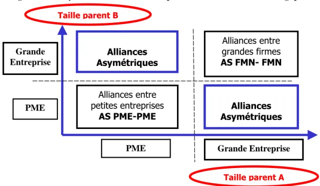 Figure 5. : L’asymétrie de taille entre les partenaires des alliances stratégiques 