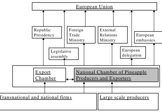 Figure 6: The policy making process in pineapple sector 