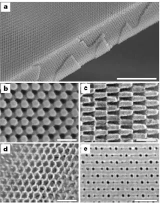 Figure 1-8: From [7] : Electron micrographs of sections along different planes of a photonic crystal fabricated using holographic lithography in a 10 µm film of resist.