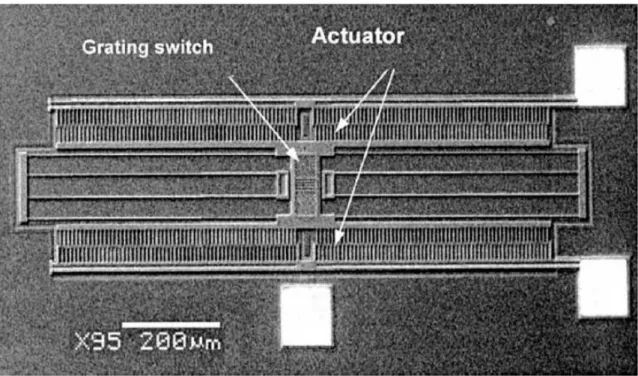 Figure 1-22: Scanning electron micrograph showing the type of layout of an electro- electro-static actuated tunable grating from [18].
