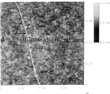 Figure  3-1:  A  typical  image  of  SWNTs  growing  on  a  Si/SiO 2  substrate.  The  scale bar  on  the  right  side  indicates  the  height  of  the  image