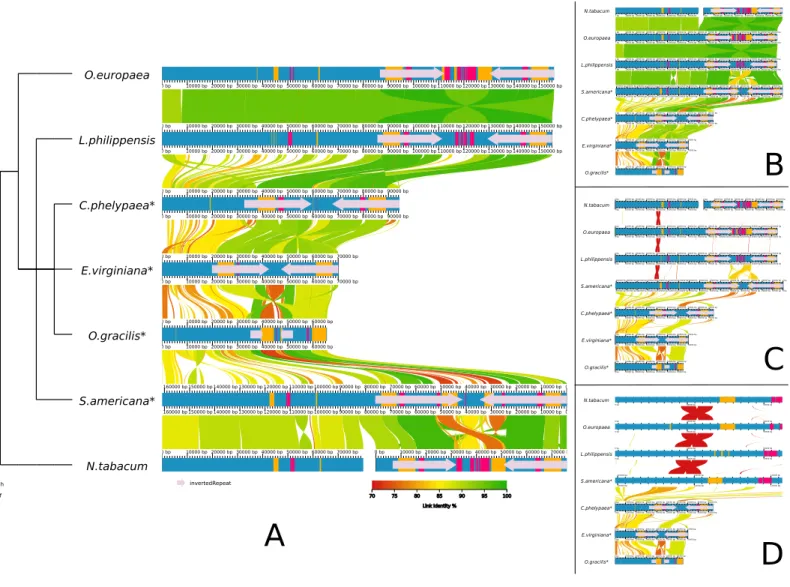 Figure 1 Whole genome alignment of seven chloroplasts visualized by AliTV. Species names were italicized and parasites marked with asterisks ex post