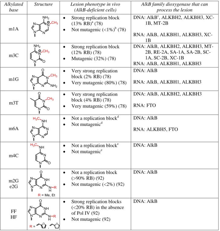 Table 1. Chemical structures of the monoalkyl substrates processed by AlkB dioxygenases