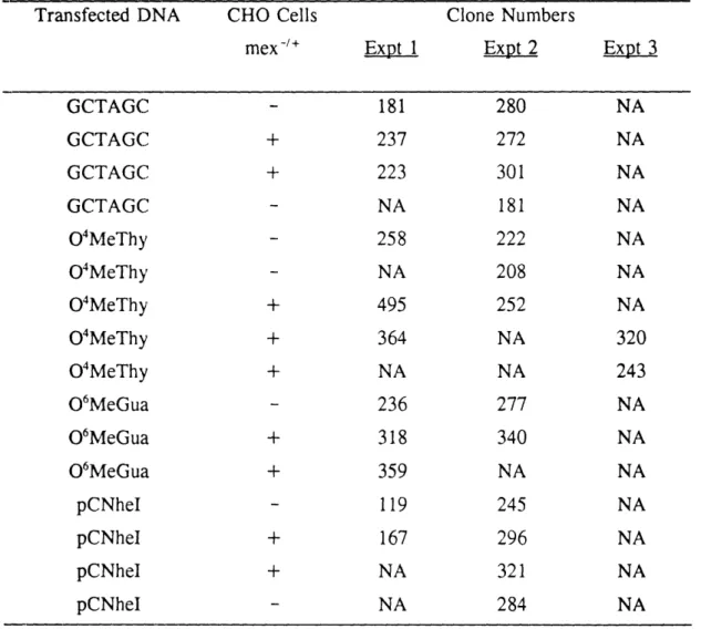 Table  2.  Summary  of  numbers of  clones  obtained  in  each  transfection