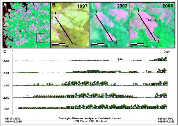 Figure 7 : A. Image Landsat TM fausse couleur de la zone de Maçaranduba en 2006 (Rouge, PIR et MIR)