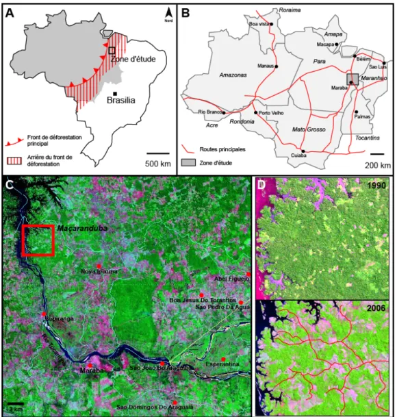 Figure 1 : A. Carte du Brésil – en gris apparaissent les régions amazoniennes. B. Cartes des régions d’Amazonie brésiliennes – en  gris apparaît la région de Marabá