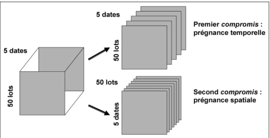 Figure 4 : Tableau tridimensionnel des données spatio-temporelles et proposition des deux compromis d’analyse