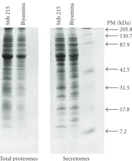 Figure 2: Classification of T. brucei proteins from two diﬀer- diﬀer-ent procyclic strains into functional categories