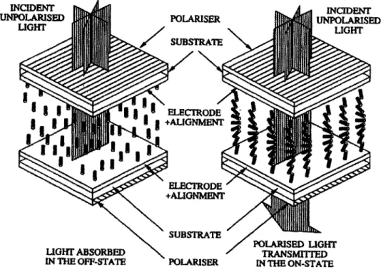 Figure  1-1:  Schematic  of  liquid crystal  cell  [1].