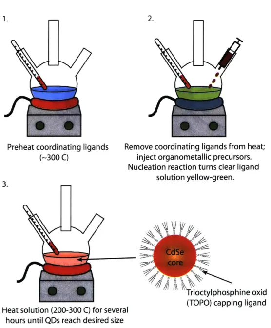 Figure  2-5:  Schematic  depicting  synthesis  procedure  for  CdSe as  first  described  in  [2].