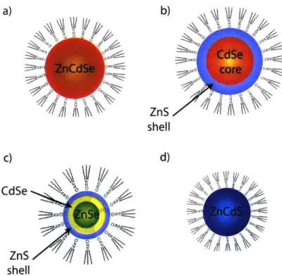 Figure  2-6:  Schematic  of  the  structure ZnSe/CdSe/ZnS,  and  d)  ZnCdS  QDs.