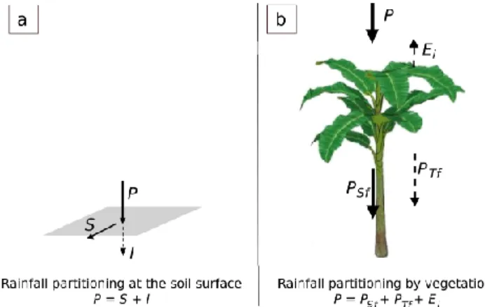 Fig. 1. Rainfall partitioning at the soil surface without vegetation (a) and rainfall partitioning under vegetation (b); with rainfall P , runoff S, infiltration I, interception and evaporation E i , stemflow P Sf , and throughfall P Tf .