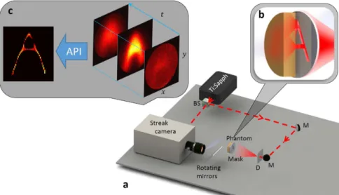 Figure 1.  Imaging Through Thick Scattering. (a) Optical setup. A ti:sapphire laser is scattered by a diffuser  sheet (D) to make a distant point source that is used to illuminate the mask