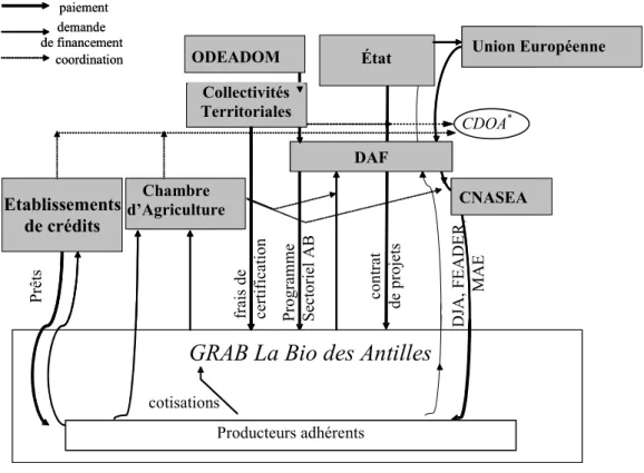 Figure 2 : Relations verticales pour le financement de la Bio des Antilles et des exploitations agricoles 