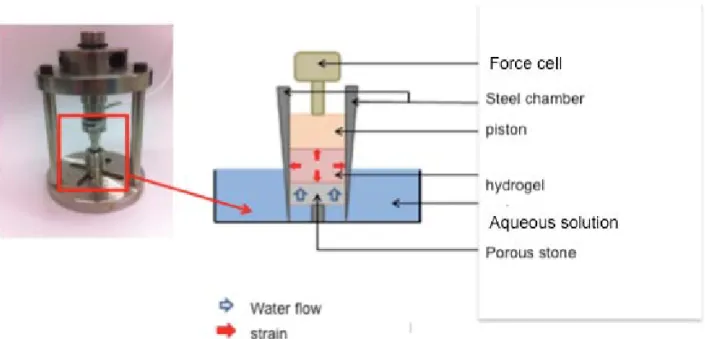 Figure 1: Experimental device develop to characterize swelling of hydrogel in aqueous  solutions (Halle mécatronique, LMGC, Montpellier, France)