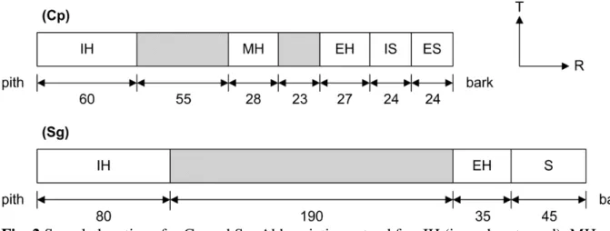 Fig. 1 Geometric description showing the direction and dimension of two sampling schemes