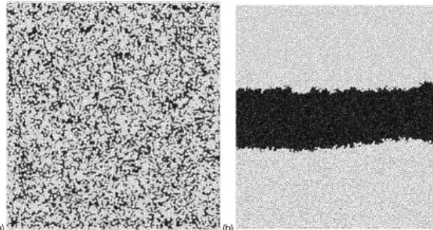 Figure 2. Examples of the generated packings at the initial state, here for binary mixture with α = 0.5 and M ∗ = 0 (a) and M ∗ = 1(b)