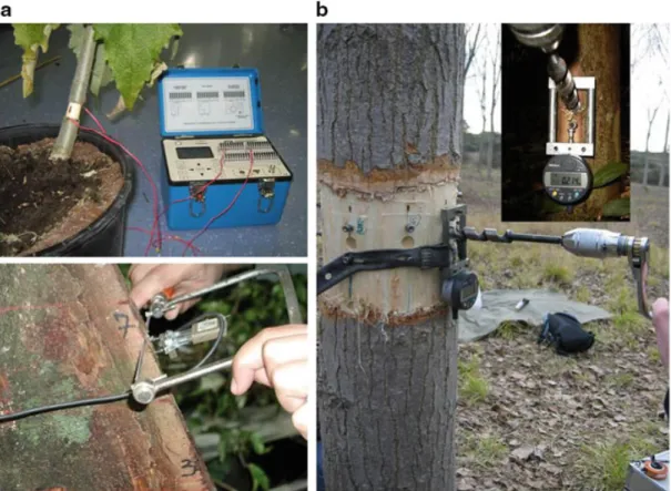 Fig. 5.5 Two different methods to estimate maturation strains: (a) the two grooves method using strain gauges or strain sensors