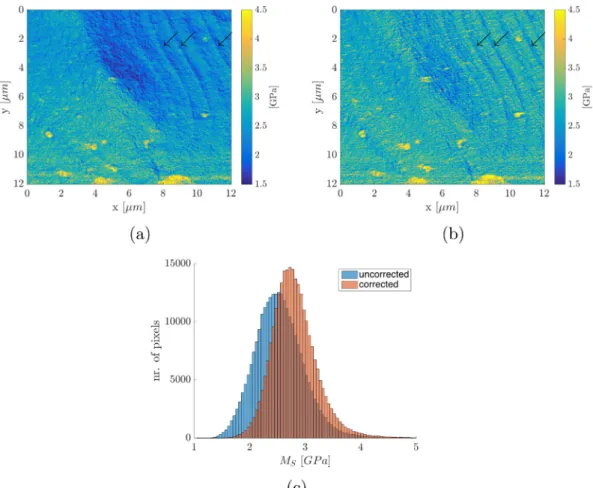 Fig. 12. (a) Uncorrected and (b) corrected maps of the indentation modulus on a cut starch granule are shown
