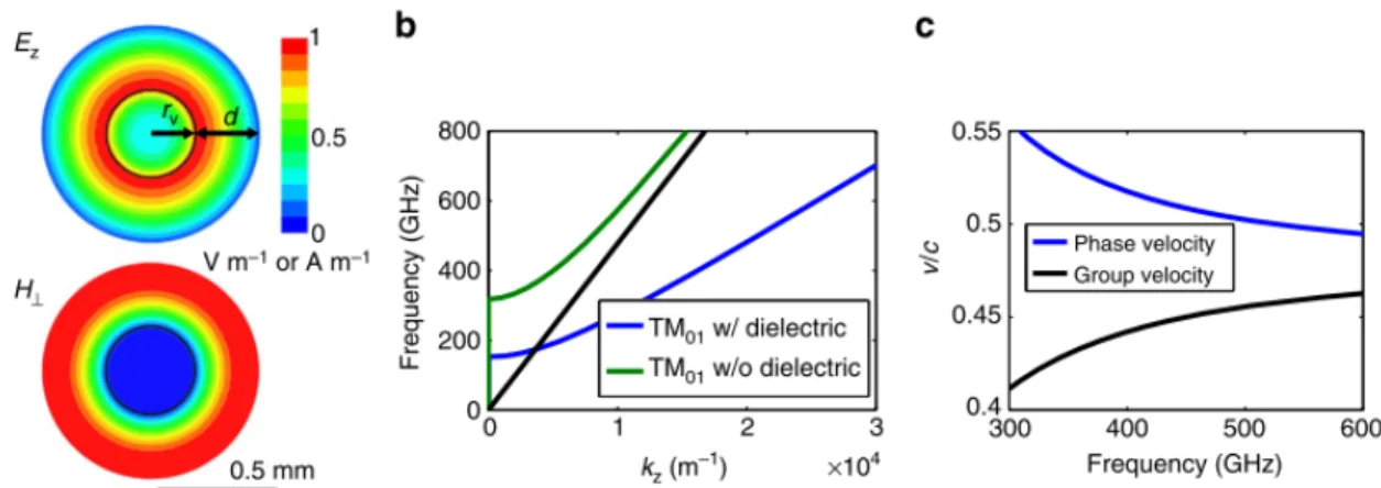 Figure 2-22: Example of a dielectrically loaded waveguide design used for THz linear acceleration [82].