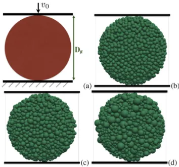 Fig.  2. Schematic  representation  of  diametrical compression  test  (a), and snapshots of granules composed from 50  0  0 primary spherical particles before diametrical compression  for  (b)  α =  1  ; (c)  α =  2  , and (d)  α =  5  