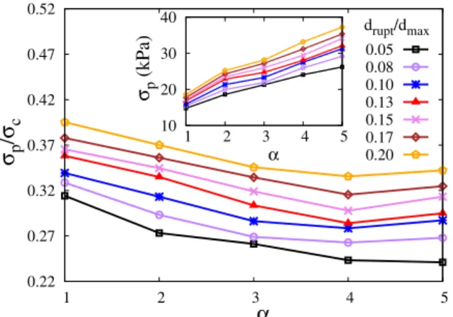 Fig. 6. Normalized plastic strength  σ p /  σ c of  the  granules  for  different values  of  the size ratio as function  of debonding  distance d  rupt .