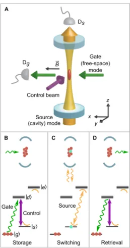 Figure 1: Fig. 1. All-optical switch and transistor. Setup (A) and atomic level scheme with experimental sequence (B-D)