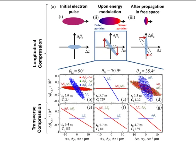 Figure 3. (a) Physical mechanism of the longitudinal compression scheme: (i) the initial electron pulse has a ﬁ nite spread in momentum and position; (ii) the laser – electron interaction accelerates the back electrons and decelerates the front electrons; 