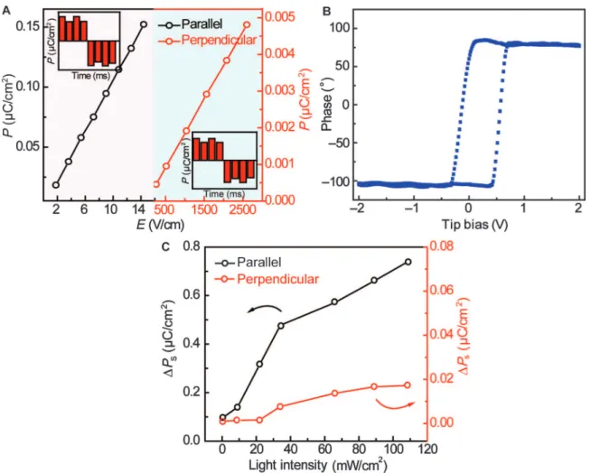 Fig. 5. Ferroelectric properties of the HRR CTCCs. (A) Electric field – dependent saturation polarization value in the parallel and perpendicular directions