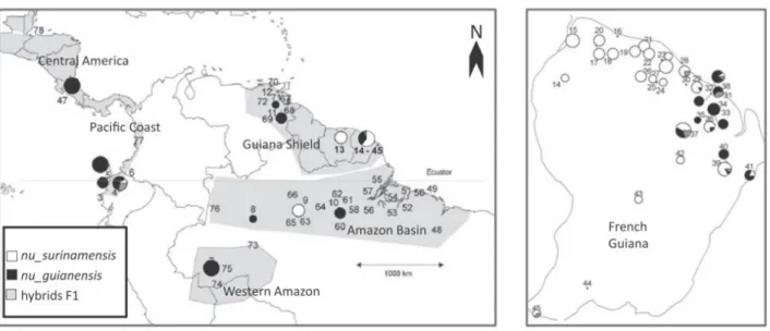 Figure 28: Bayesian clustering analysis for the tree Genus Carapa in the Neotropics (from Scotti-Saintagne et al