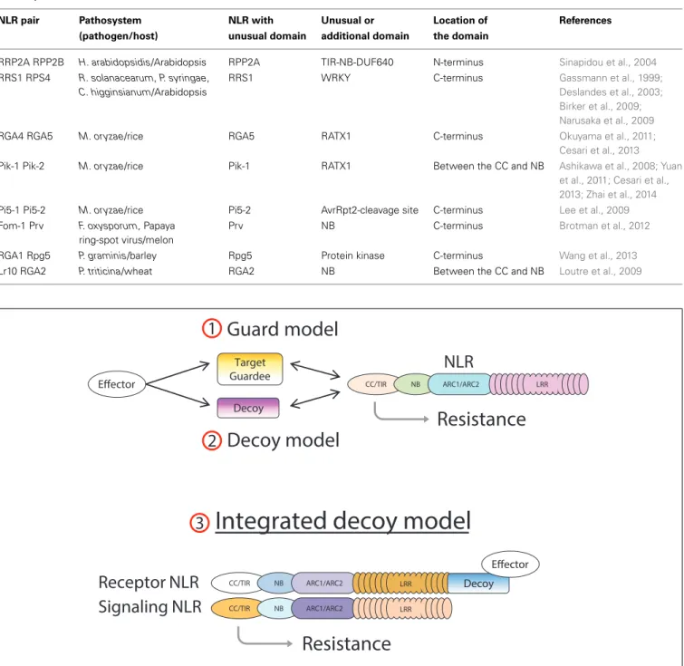 Table 1 | Unusual domains in paired NLR R proteins.