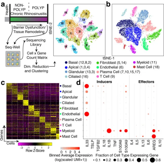 Figure 1 |. Mapping the T2I inflamed human sinus cellular ecosystem by scRNA-seq
