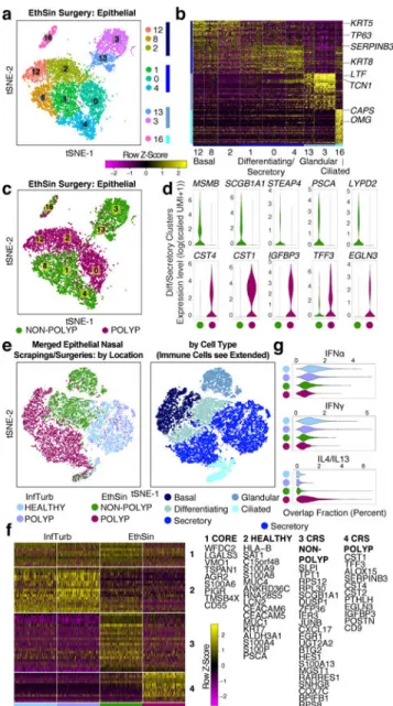 Figure 2 |. Single-cell transcriptomes of epithelial cells in T2I highlight shifts in secretory cell  states across health and disease