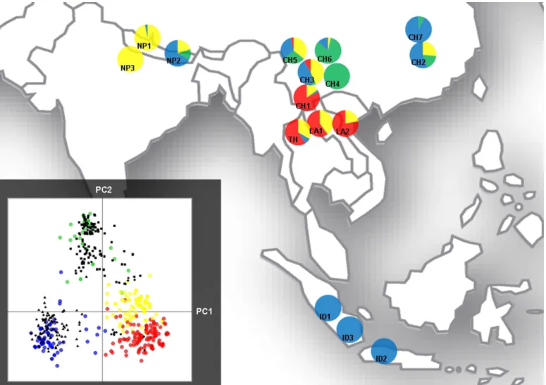 Fig. 3 Discriminant Analysis of Principal Components (DAPC) on the 423 Asian strains of Magnaporthe oryzae