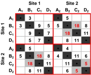 Figure 9:  Final Two Site Coordination Matrix 