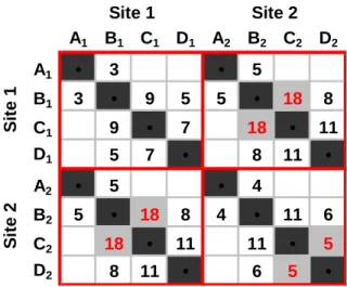 Figure 9:  Final Two Site Coordination Matrix 