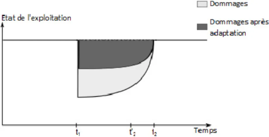 Figure 18 : Évolution des dommages suite à l’application d’une mesure de réduction de la vulnérabilité (type 1) 