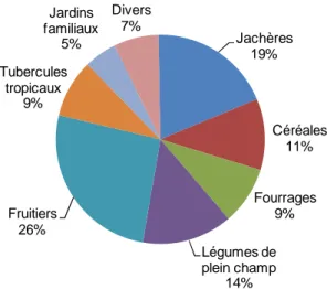 Figure 8 : Répartition des productions agricoles sur la SAU hors pâturages   (source : ISEE et DAVAR, 2004a dans Sourisseau et al., 2010)