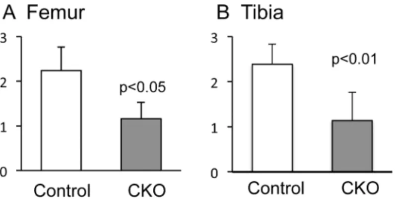 Fig 6. Scores of synovial changes in control and α 5 CKO mice after OA surgery. Synovial changes at the medial sites beside the femur (A) and the tibia (B) were evaluated in the control and α 5 CKO mice 4 weeks after OA surgery