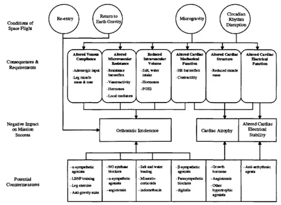 Figure  3-1.  Diagram  of the  cardiovascular  effects  of space  flight, potential mechanisms, and  possible  countermeasures