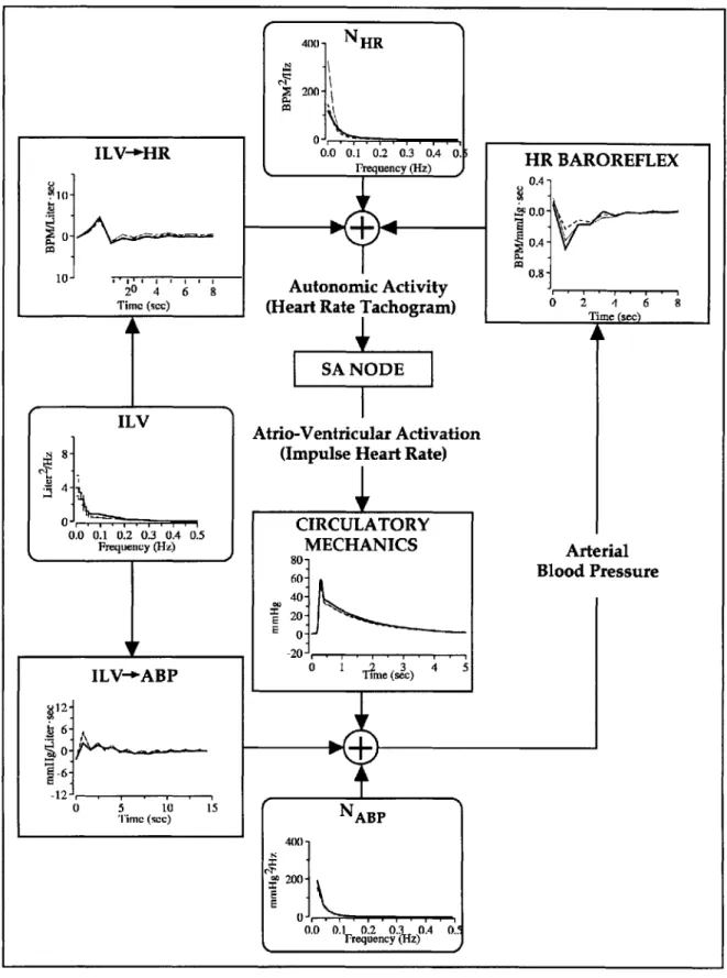 Figure  3-3.  Group-averaged  CSI  results  for  Bedrest position  during  pre-bedrest  (thick  solid  line),  last-day line), and post-bedrest (thin solid line).