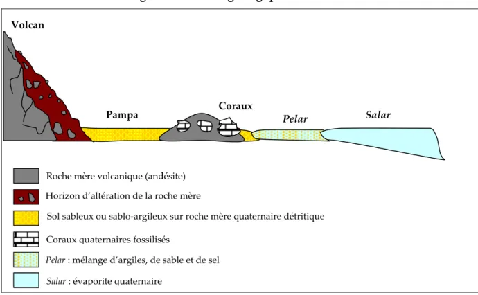 Figure 5 : Transect géologique du Périsalar   