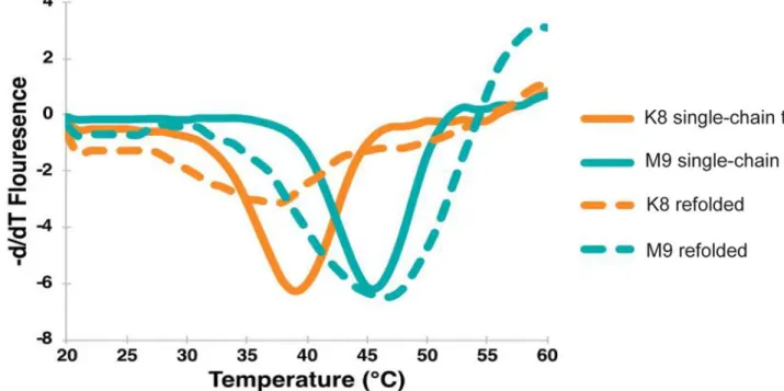 Figure 3: ThermoFluor thermal stability shift assay shows a large difference in protein stability.