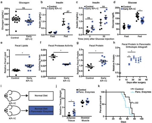 Figure 3. Decreased exocrine pancreatic function in early PDAC disease promotes tissue wasting a–d