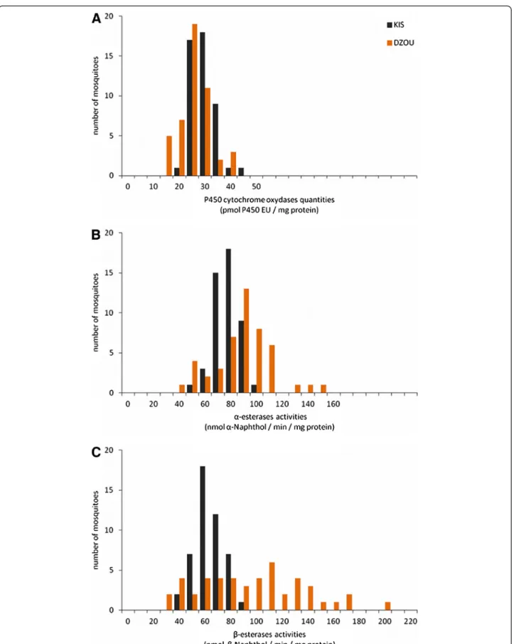 Figure 4 Comparison of detoxification enzyme quantities or activities in single mosquitoes of KIS and DZOU
