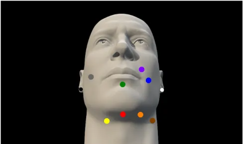 Figure 5-1: This figure displays the placement of electrodes on the face. In our testing, we used the white and black electrodes for noise detection and the red, yellow, green, and purple ones for signal detection.