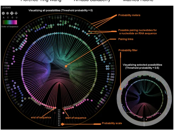 Fig. 1. Visualizing all the possible base pairing probabilities of ancestral(chimp) RNA with RNA-SequenLens