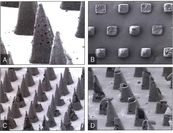 Figure  2-5:  Porous  MNs  pre  and  post  insertion  into  murine  skin,  as  viewed  by  scanning electron  microscopy