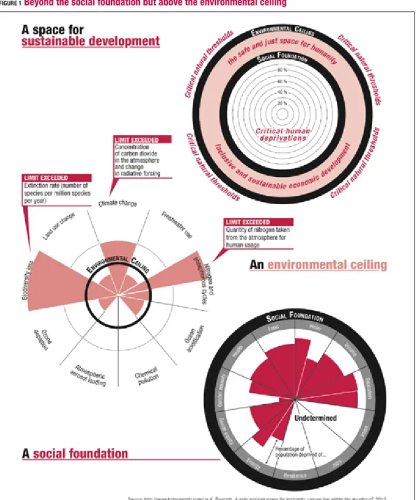 FIGURE 1  Beyond the social foundation but above the environmental ceiling