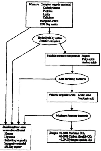 Figure  2.2:  Anaerobic  Digestion  Process.  7